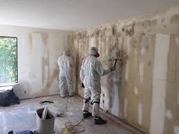 Mold Remediation for Rental Properties in Wallburg, NC